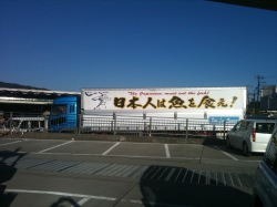日本人は魚を食え!1