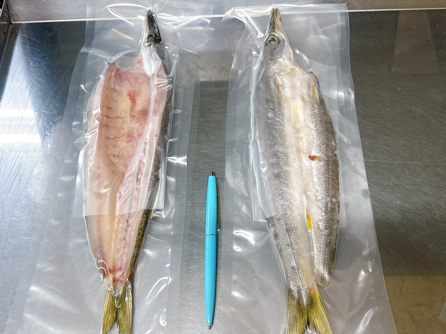 噛まれた本かます